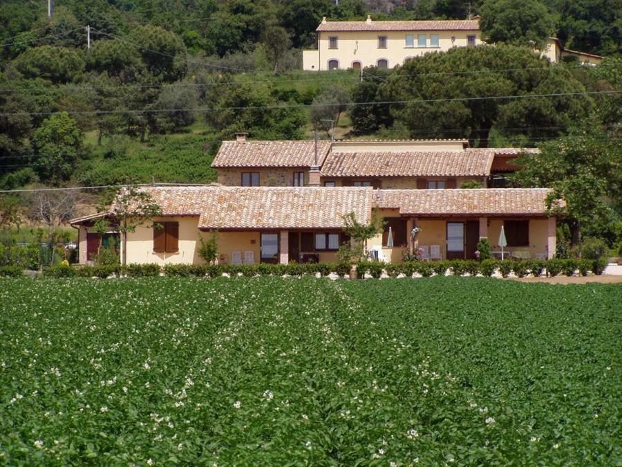 Agriturismo Casale Del Contadino Villa Bolsena Exterior photo