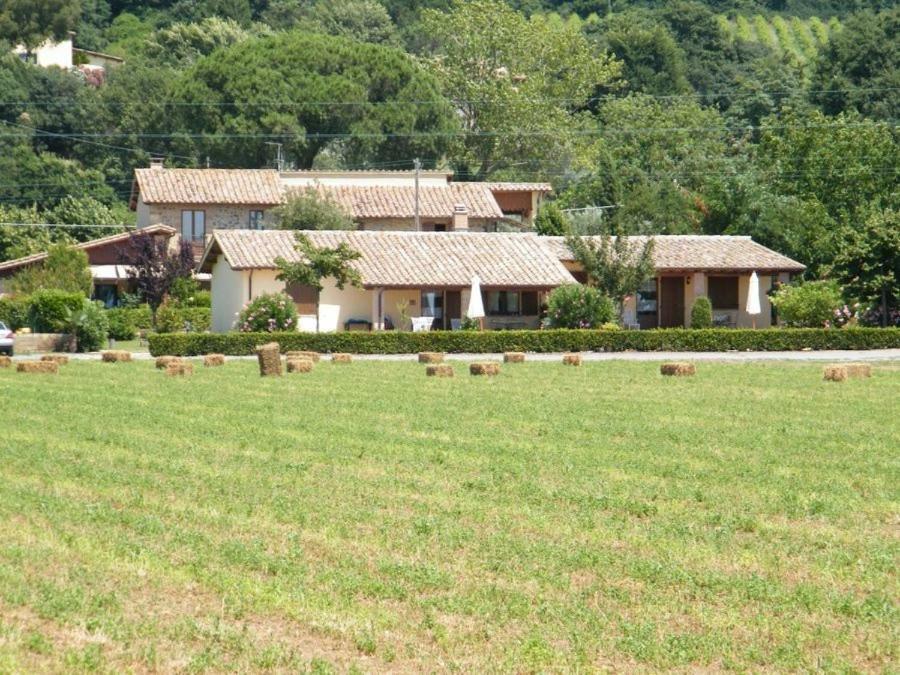 Agriturismo Casale Del Contadino Villa Bolsena Exterior photo