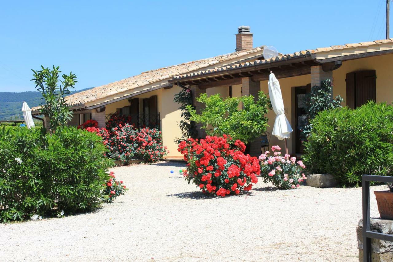 Agriturismo Casale Del Contadino Villa Bolsena Exterior photo