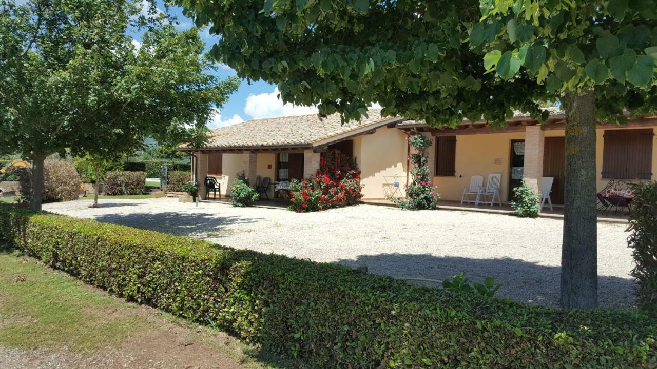 Agriturismo Casale Del Contadino Villa Bolsena Exterior photo