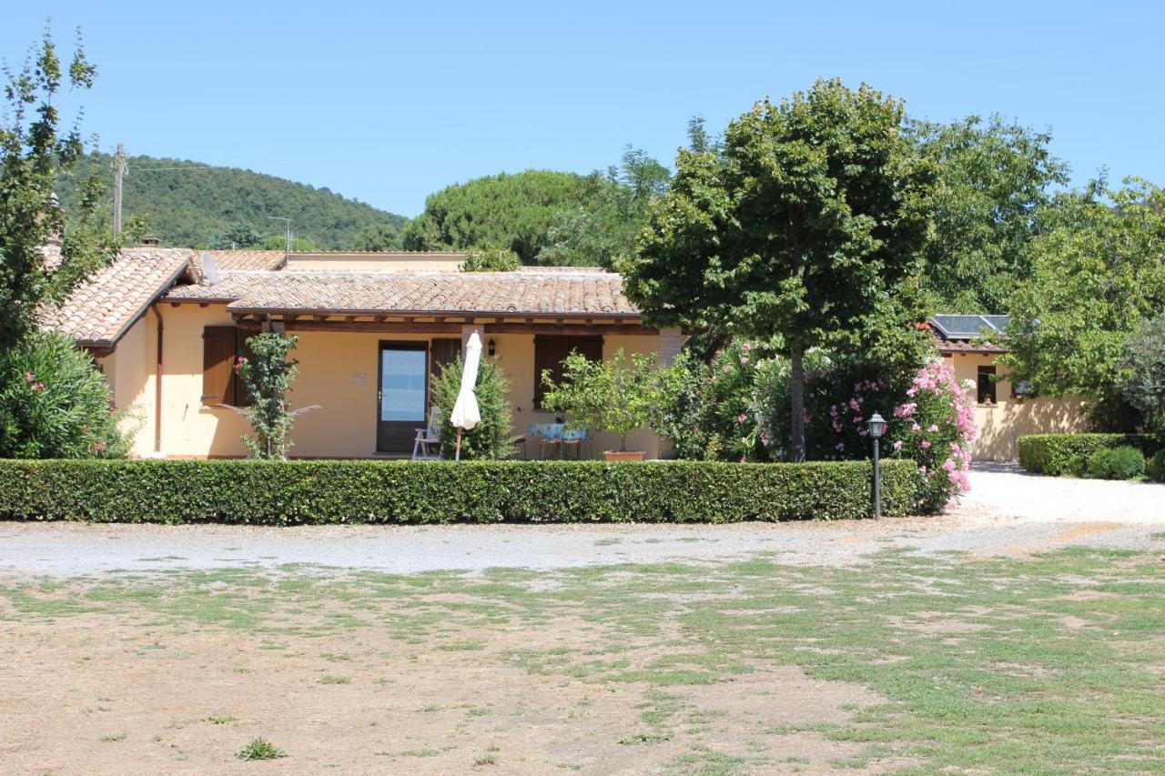 Agriturismo Casale Del Contadino Villa Bolsena Exterior photo